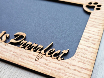 5x7 My Cat is Purrrrfect Picture Frame - Holds 4x6 photo - Gift for cat lover - Crazy Cat Lady - Feline Gift